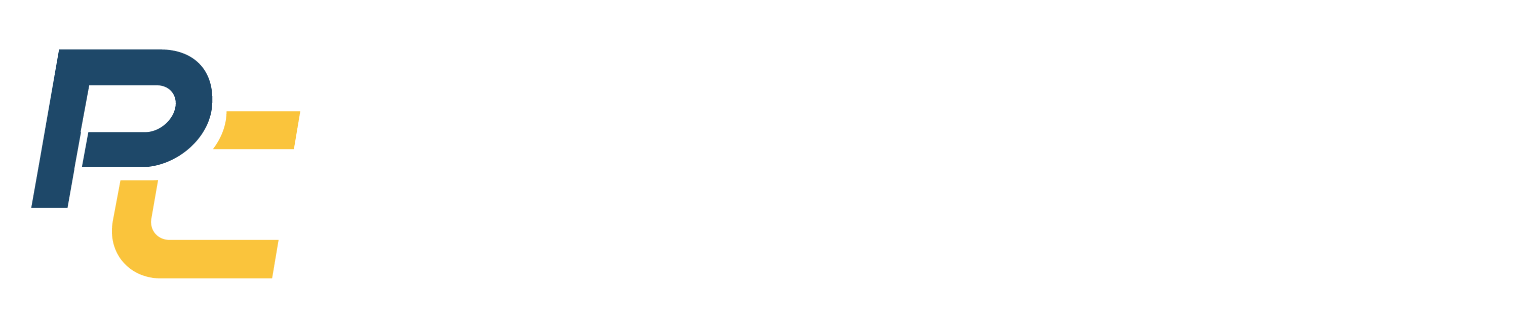 Paya Control Final Logo White